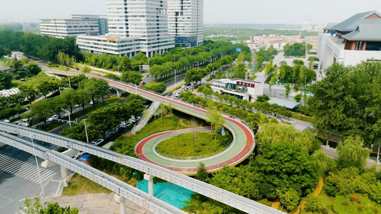 特色绿道跑，城市中的绿色运动之旅的简单介绍